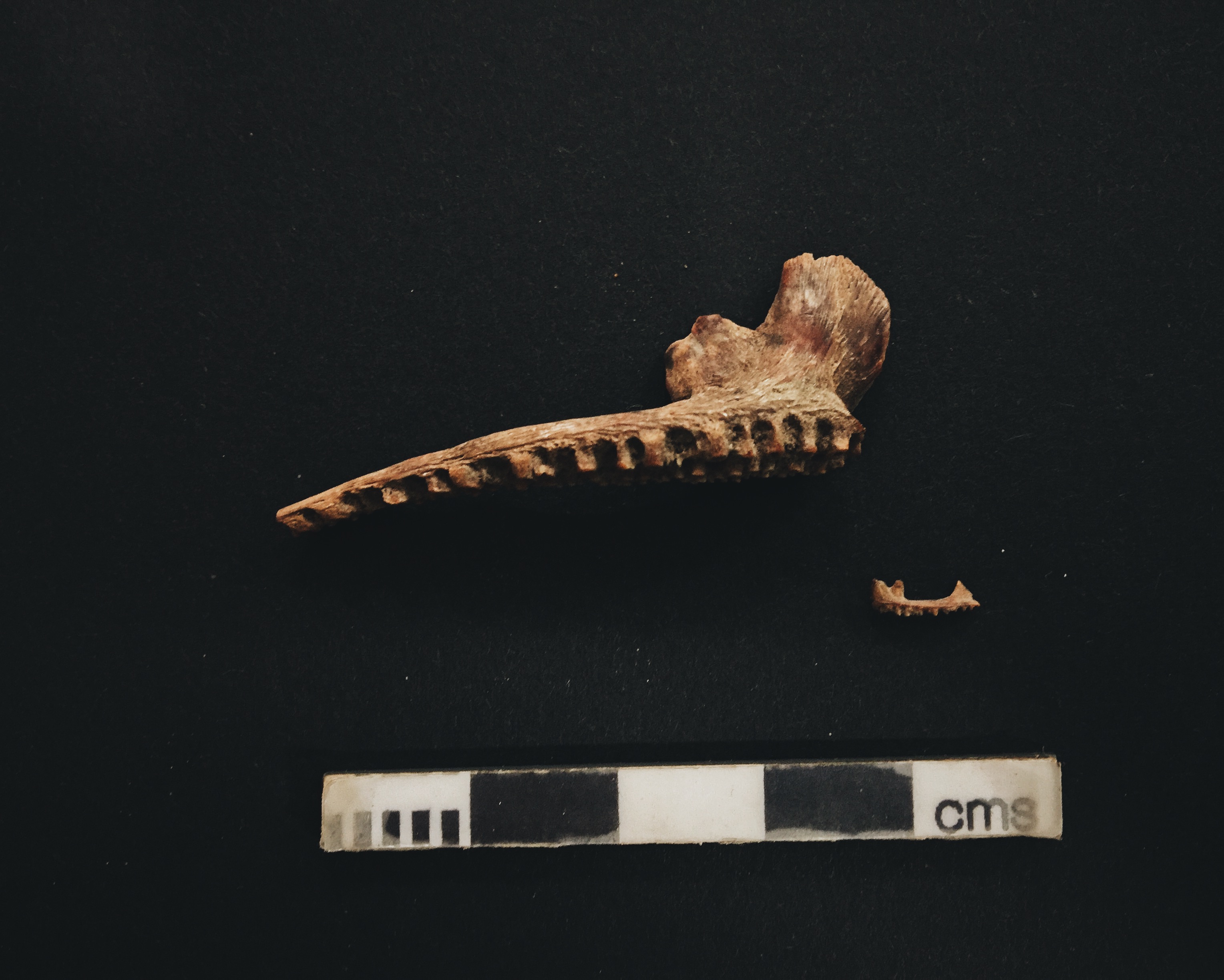 Processed with VSCO with a6 preset