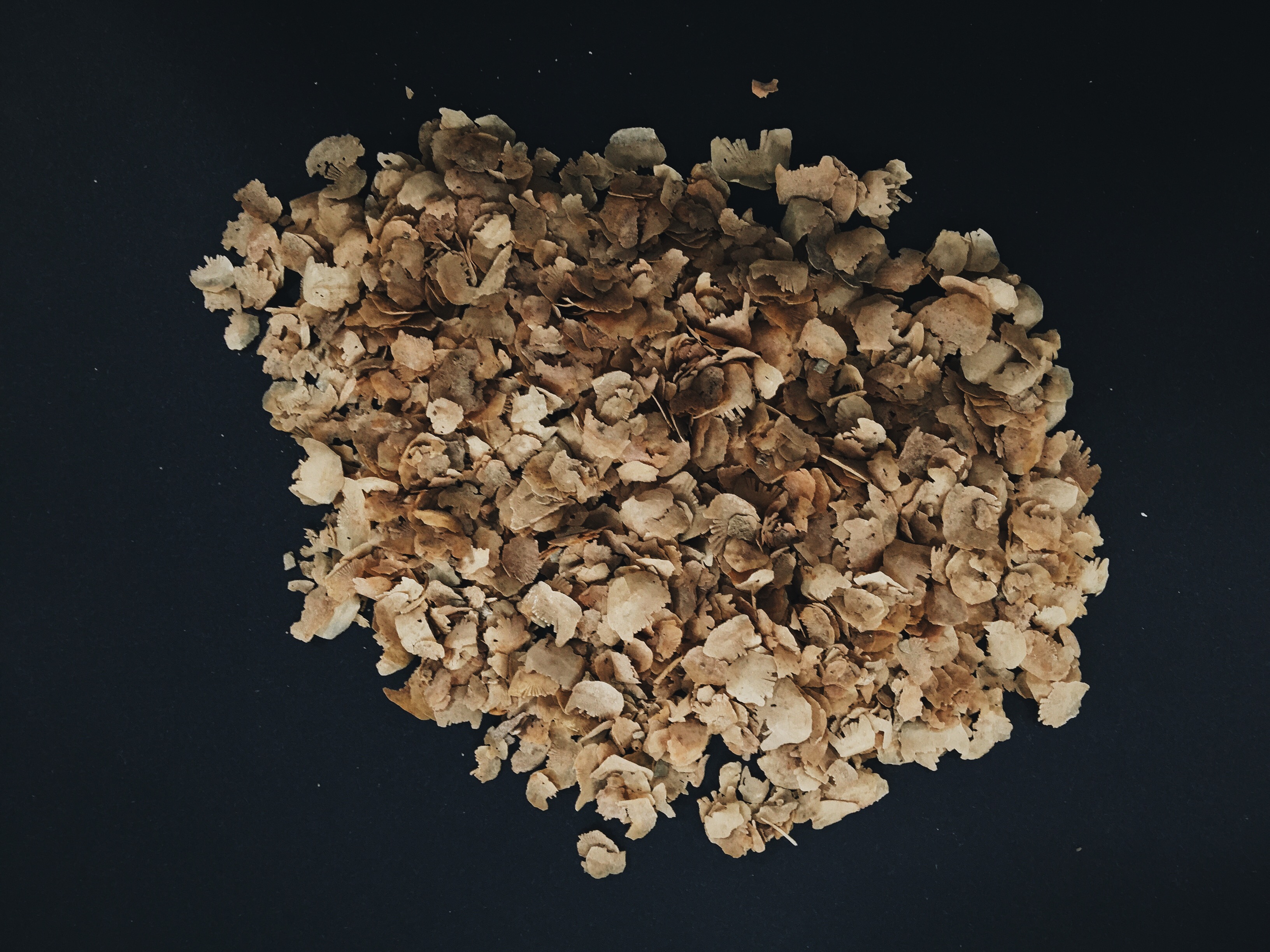 Processed with VSCO with a6 preset