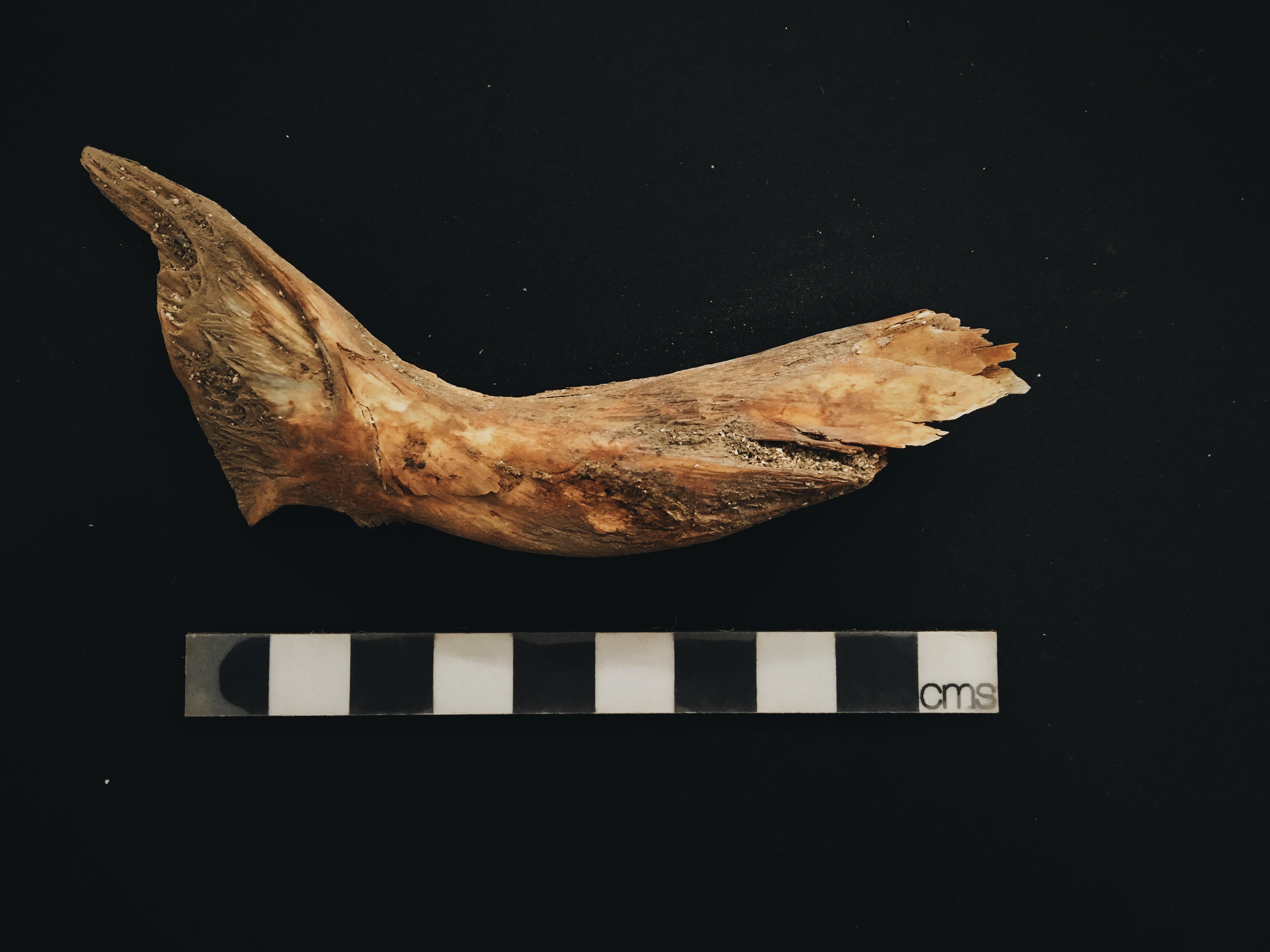 Processed with VSCO with a6 preset