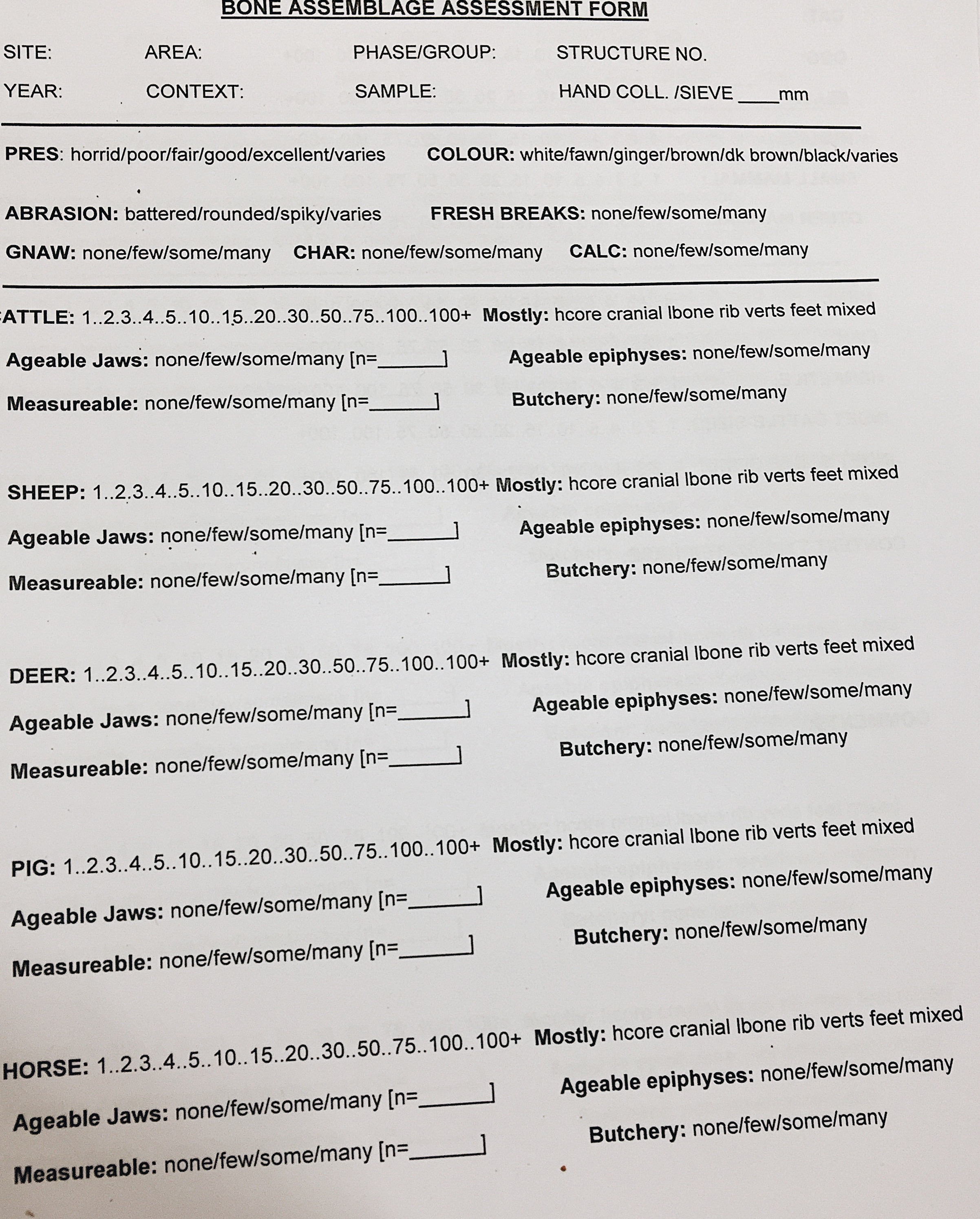 Bone assessment form