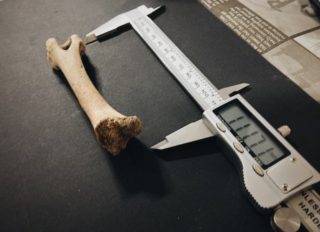 Processed with VSCO with a6 preset