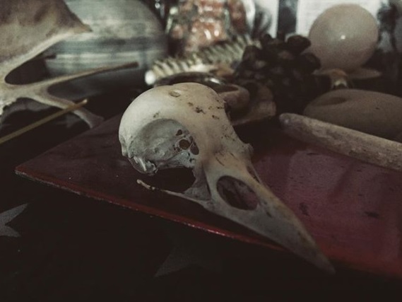 Screenshot_2018-10-30 Alex Fitzpatrick ( alexleefitz) • Instagram photos and videos