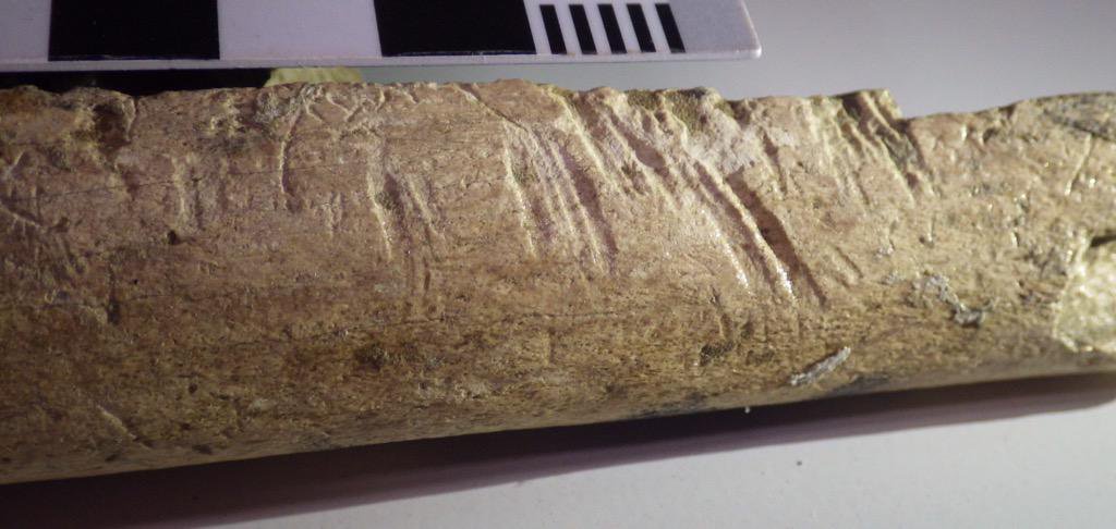 OM NOM NOM (Part Two) or Did I REALLY Use That Same Old Bad Joke To Introduce A Post on&nbsp;Butchery