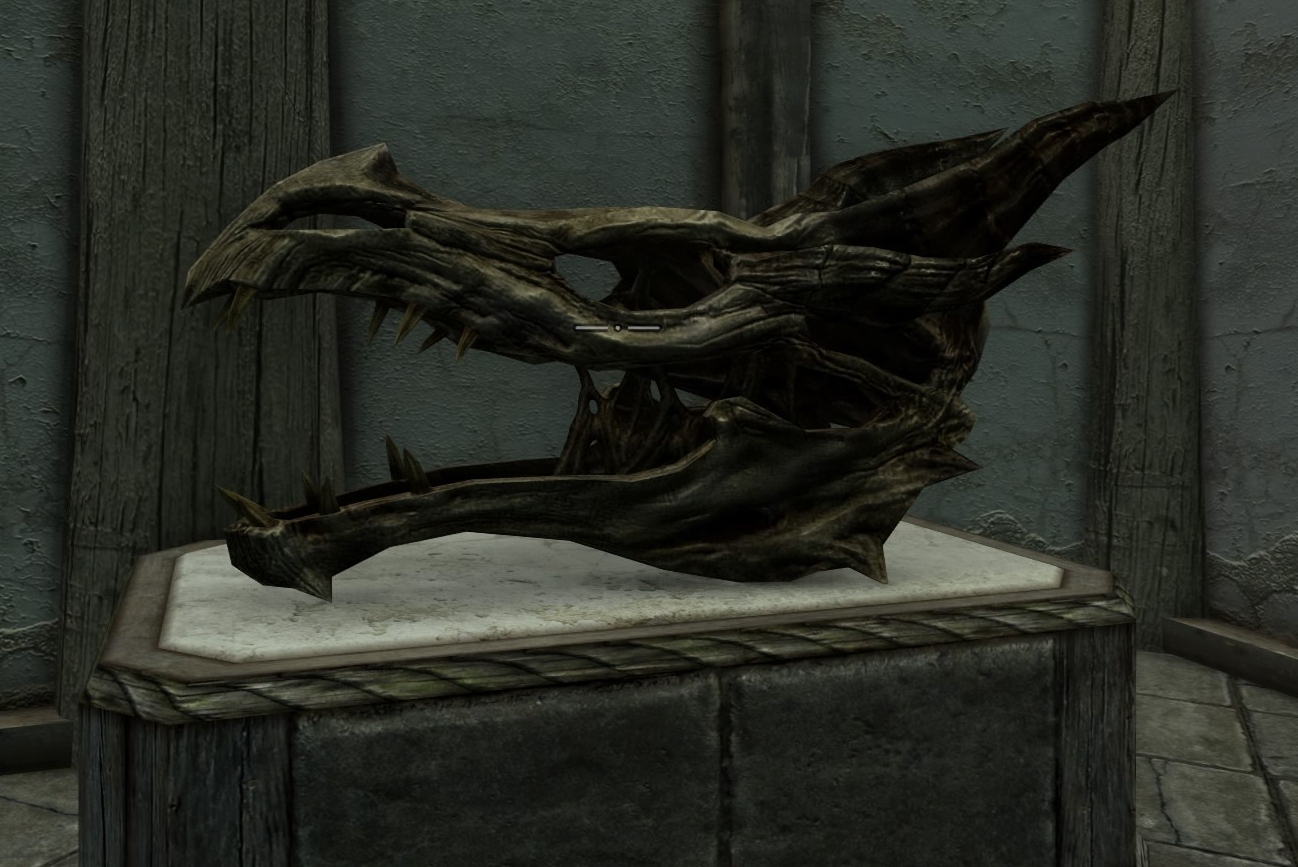 Big Game Collector: Collecting Animal Remains in Skyrim (and in Real Life!)