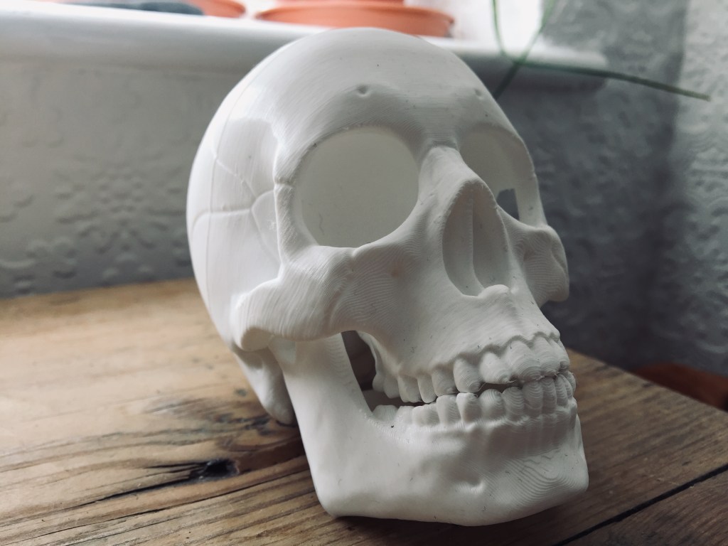 Where is the Line Between “Respectful” and “Objectifying”? Some Thoughts on Death Positivity and&nbsp;Academia.