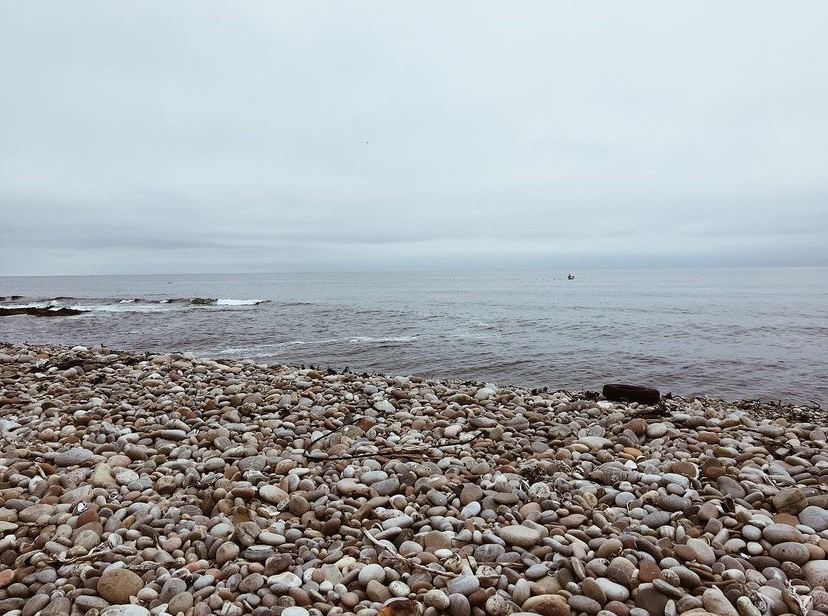 Archaeology in a Time of Crisis