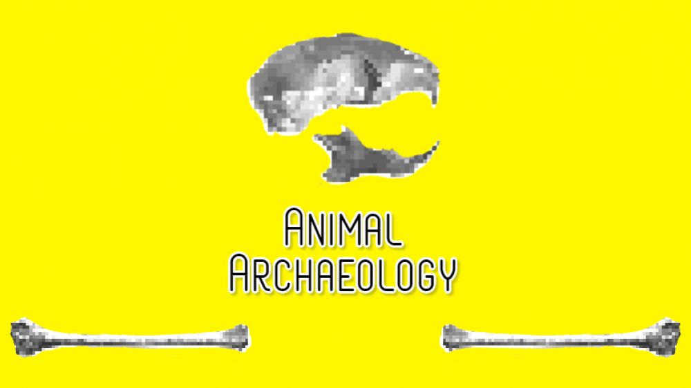 On Embracing Liminality and Fighting Precarity: Moving Onwards from&nbsp;2022