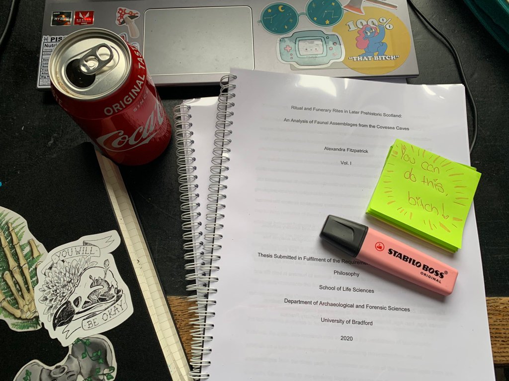 Surviving a PhD Defence at the End of the World (aka at the End of&nbsp;2020)