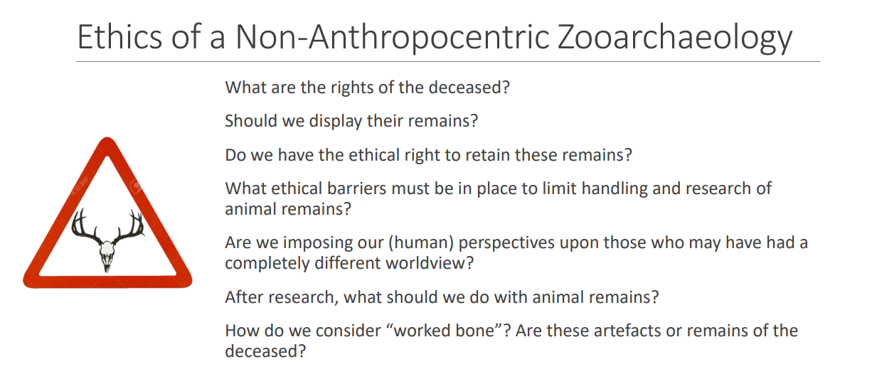Should We Respect Rover’s Remains? A Discussion on Ethics, or the Lack Thereof, in Zooarchaeology