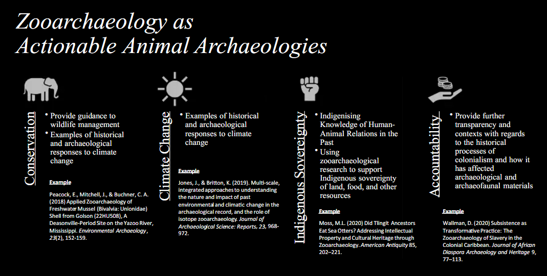 Does Zooarchaeology Matter? A Case for Actionable Animal Archaeologies