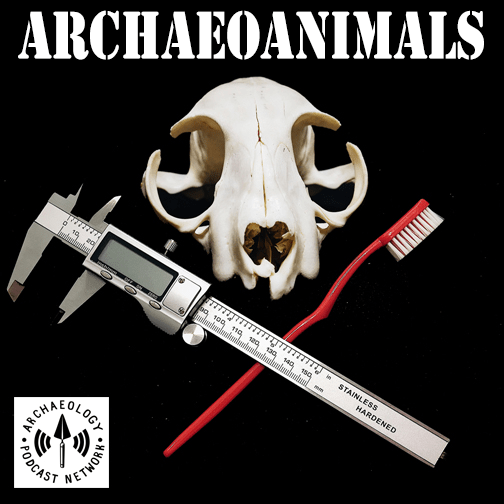 Animals in Audio: Why Do a Zooarchaeology&nbsp;Podcast?