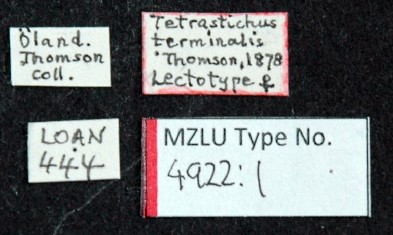 Is the Museum of the Future&nbsp;Contextless?